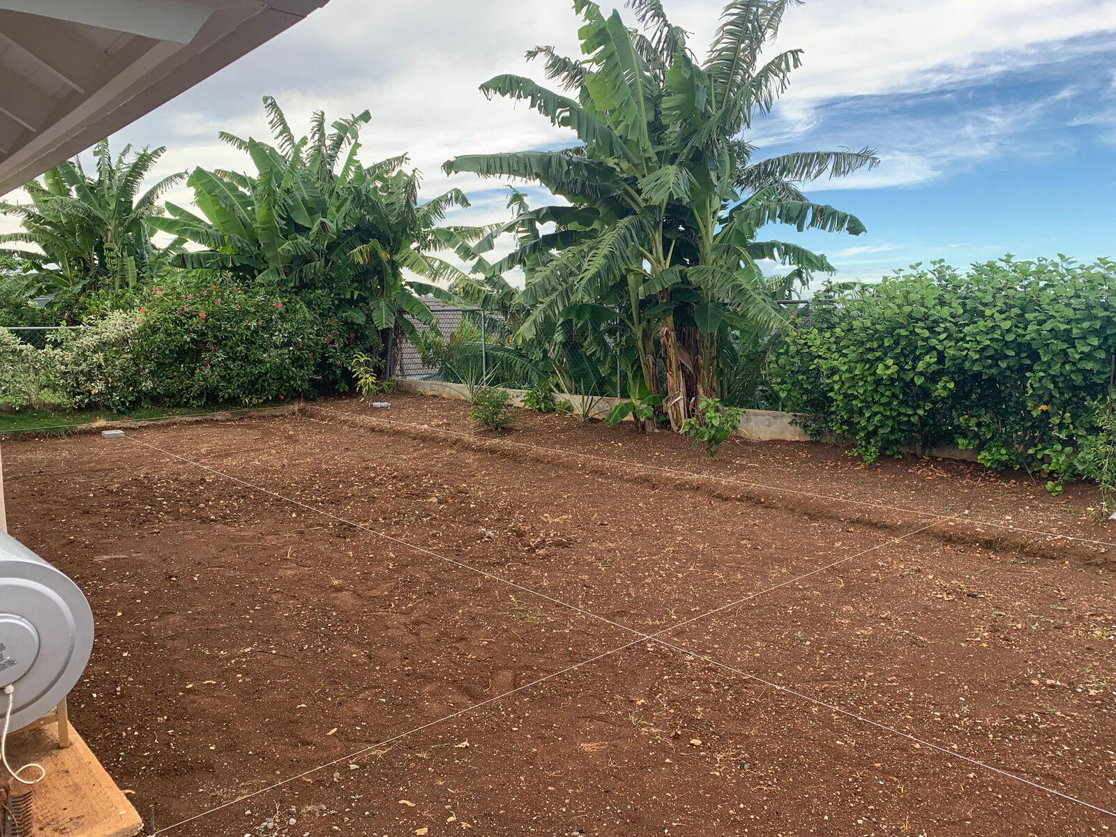 Richmond backyard cleared for construction